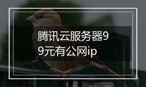 腾讯云服务器99元有公网ip
