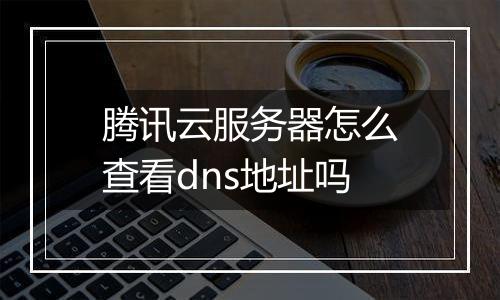 腾讯云服务器怎么查看dns地址吗