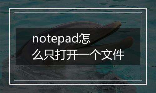notepad怎么只打开一个文件