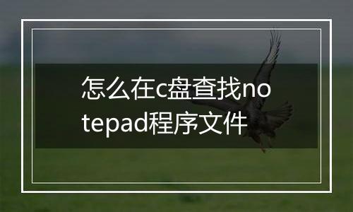 怎么在c盘查找notepad程序文件