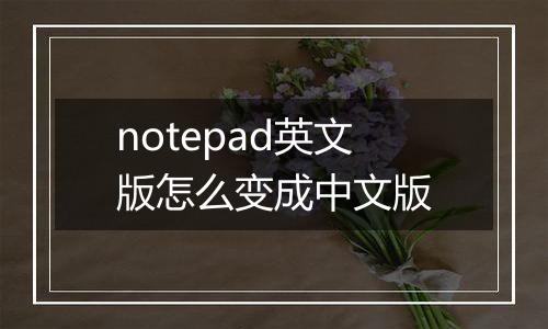 notepad英文版怎么变成中文版