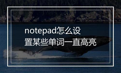 notepad怎么设置某些单词一直高亮
