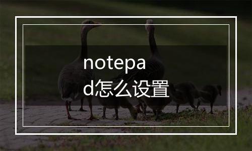 notepad怎么设置