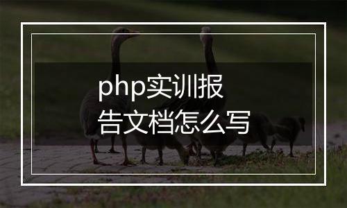 php实训报告文档怎么写