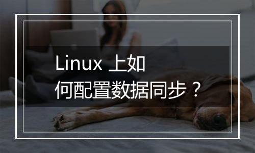 Linux 上如何配置数据同步?