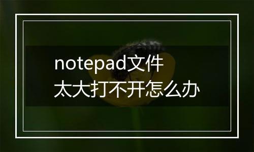 notepad文件太大打不开怎么办