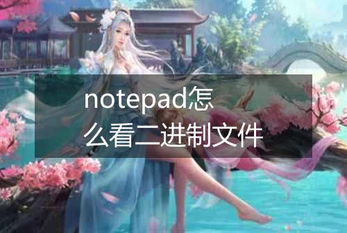 notepad怎么看二进制文件