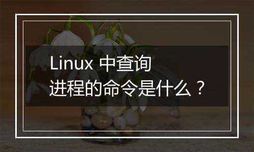 Linux 中查询进程的命令是什么？