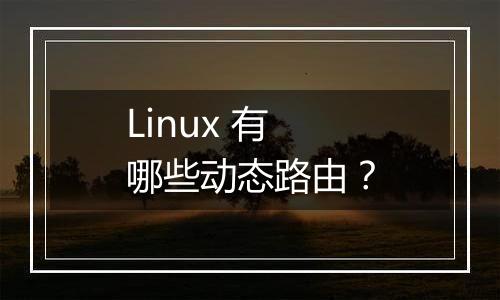 Linux 有哪些动态路由?