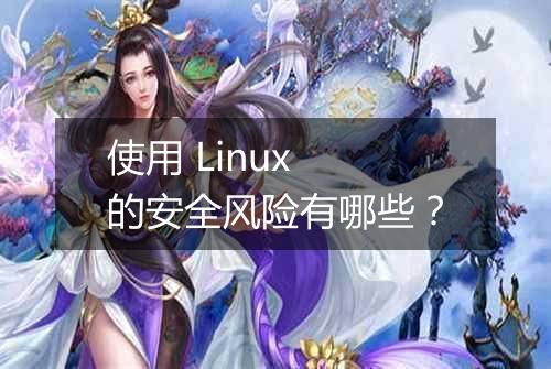 使用 Linux 的安全风险有哪些?