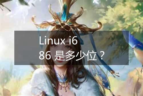 Linux i686 是多少位?