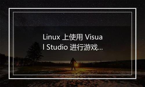 Linux 上使用 Visual Studio 进行游戏开发的推荐配置是什么?