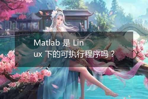Matlab 是 Linux 下的可执行程序吗？