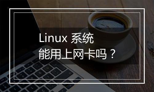Linux 系统能用上网卡吗？