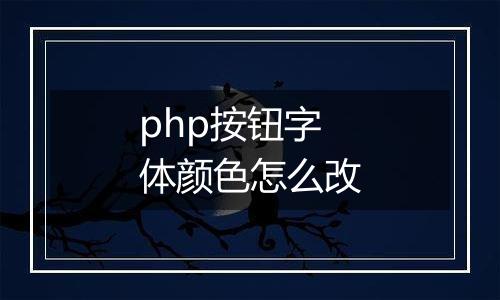 php按钮字体颜色怎么改