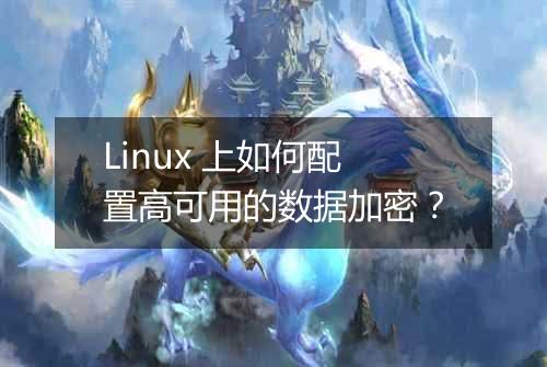 Linux 上如何配置高可用的数据加密?