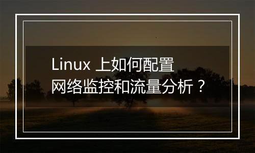 Linux 上如何配置网络监控和流量分析?