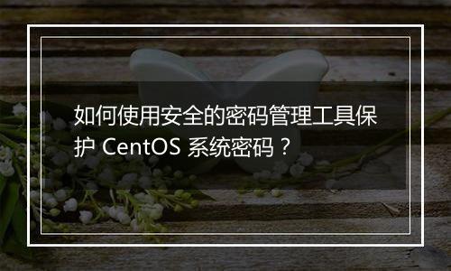 如何使用安全的密码管理工具保护 CentOS 系统密码?