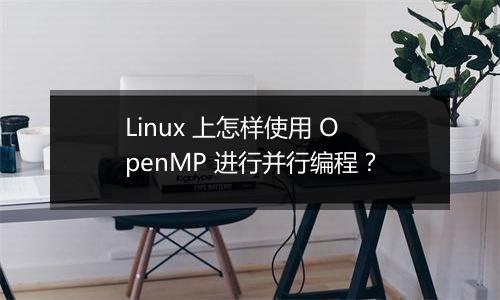 Linux 上怎样使用 OpenMP 进行并行编程?
