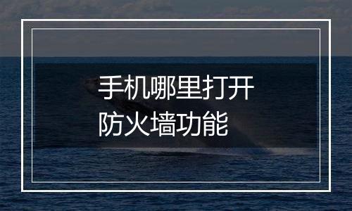 手机哪里打开防火墙功能