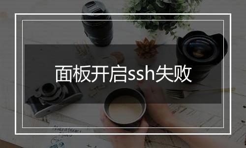 面板开启ssh失败
