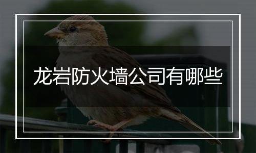 龙岩防火墙公司有哪些