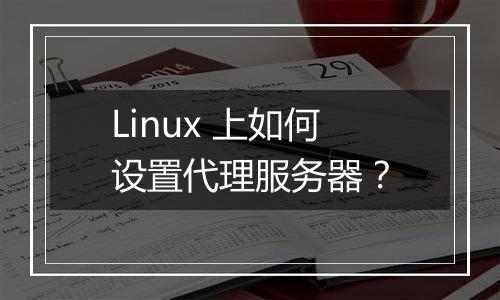 Linux 上如何设置代理服务器？