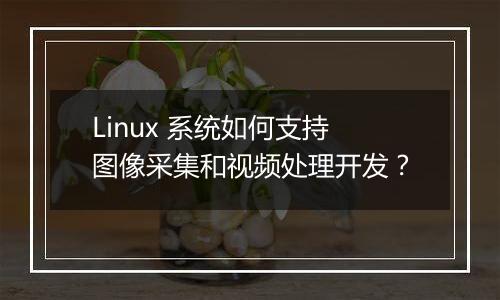 Linux 系统如何支持图像采集和视频处理开发?