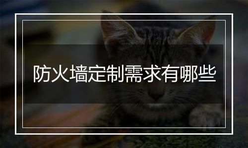 防火墙定制需求有哪些