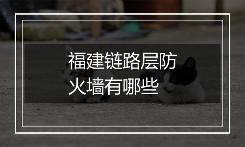 福建链路层防火墙有哪些