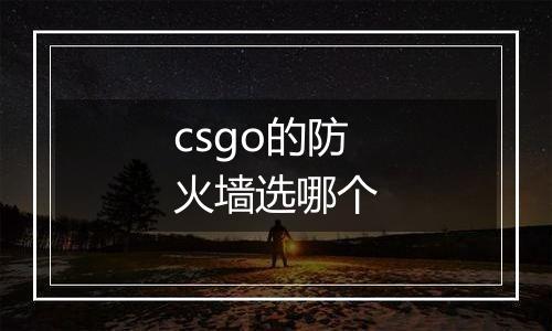 csgo的防火墙选哪个