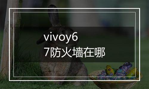 vivoy67防火墙在哪