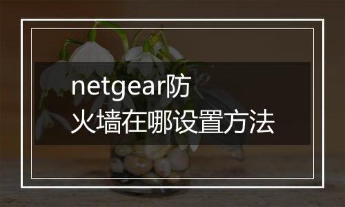 netgear防火墙在哪设置方法