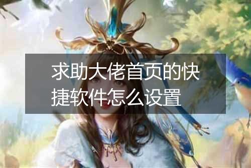 求助大佬首页的快捷软件怎么设置