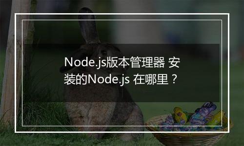 Node.js版本管理器 安装的Node.js 在哪里?