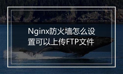 Nginx防火墙怎么设置可以上传FTP文件