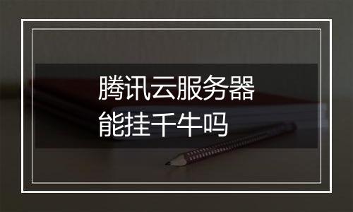 腾讯云服务器能挂千牛吗