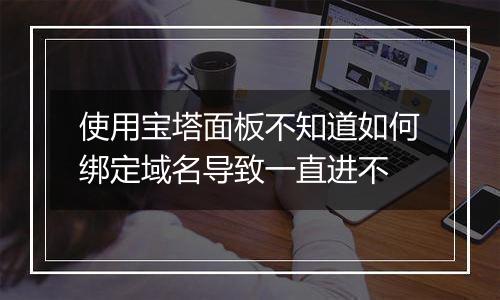 使用宝塔面板不知道如何绑定域名导致一直进不