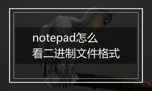 notepad怎么看二进制文件格式
