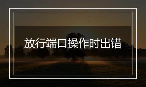 放行端口操作时出错
