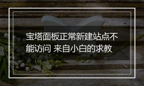 宝塔面板正常新建站点不能访问 来自小白的求教