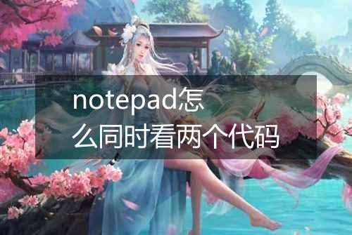 notepad怎么同时看两个代码