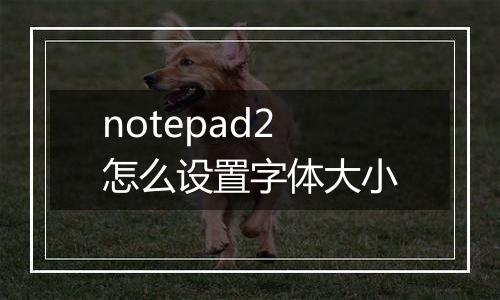 notepad2怎么设置字体大小