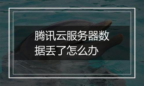 腾讯云服务器数据丢了怎么办