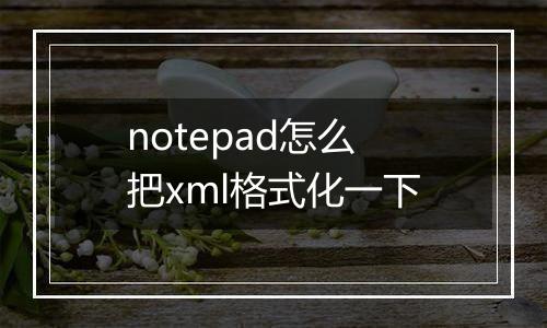 notepad怎么把xml格式化一下
