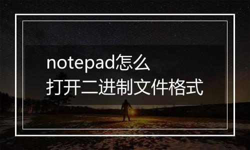notepad怎么打开二进制文件格式