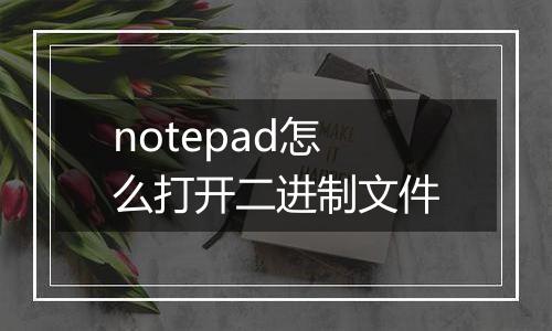 notepad怎么打开二进制文件