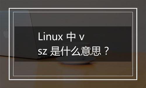 Linux 中 vsz 是什么意思?