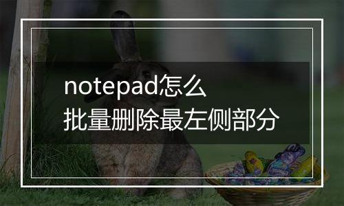 notepad怎么批量删除最左侧部分