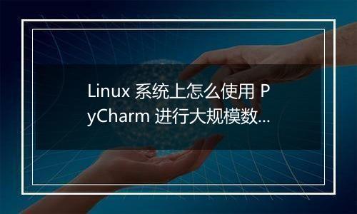 Linux 系统上怎么使用 PyCharm 进行大规模数据处理?